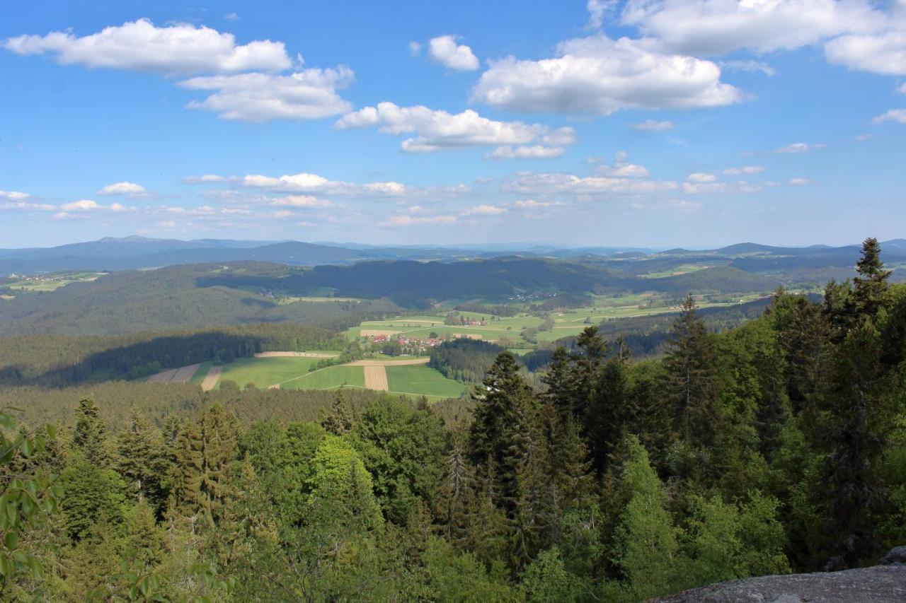 Ferienwohnungen Irene Konstandin Bischofsmais Bagian luar foto